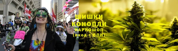марихуана Белокуриха